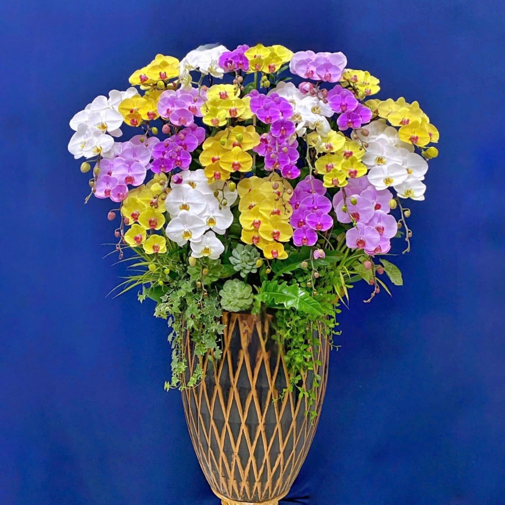 Lan Hồ Điệp Sắc Ngọc Thiên - LHD046