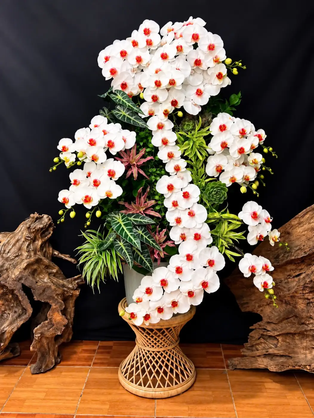 Ảnh thực tế