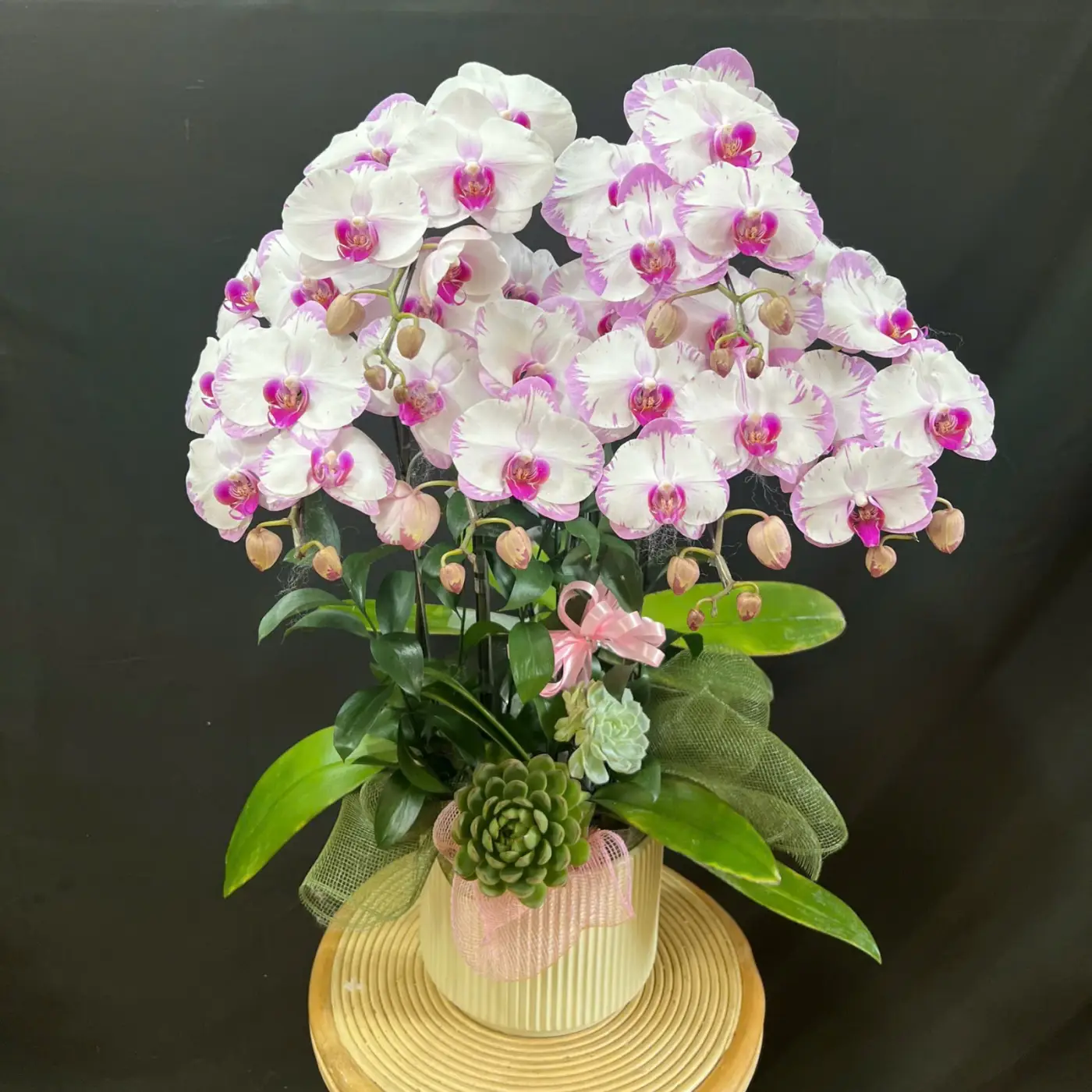 Bạch Ngọc Ánh Hồng