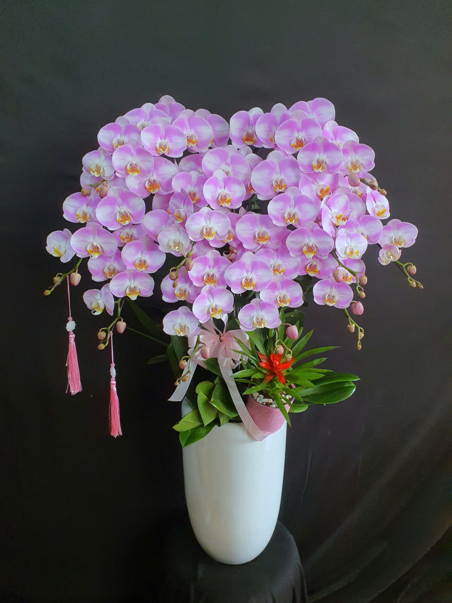 Lan Hồ Điệp Hoàng Hồng Diễm Y - LHD211